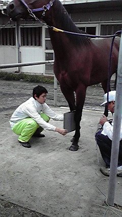 レントゲン撮影