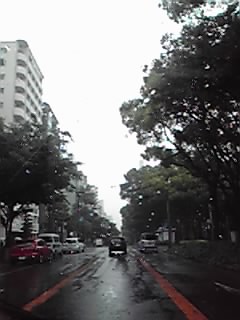 何日ぶりの雨だろう？