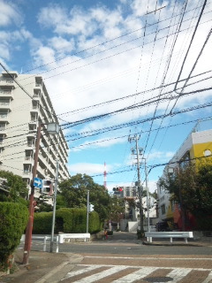 余裕があるので、いつもより空が青く見えました♪