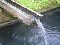 DSC07380.JPG
