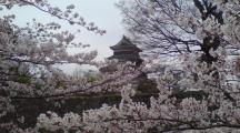 DSC00336.JPG