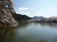 P1020356.JPG