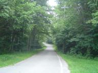 DSC07406.JPG