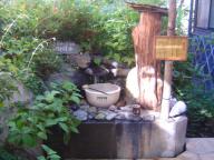 DSC08275.JPG