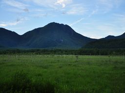 DSC_1473_01-thumbnail2.jpg