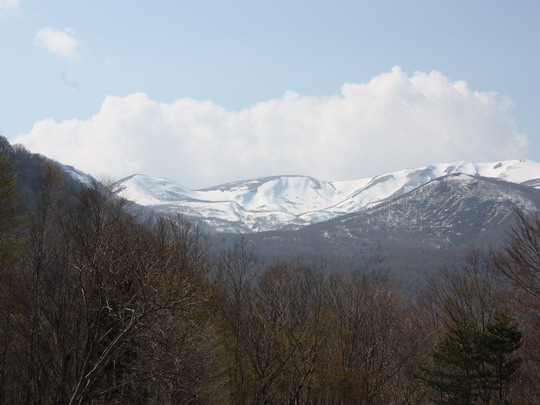 DPP_0055.jpg