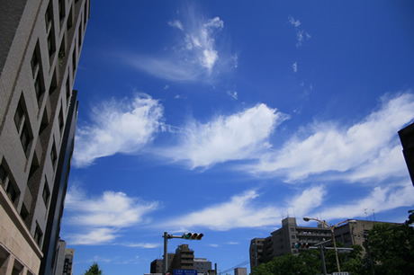 京都-2日目は快晴-