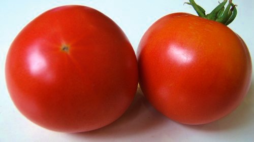 収穫トマト.jpg