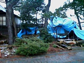 20080102071150柏崎神社.jpg
