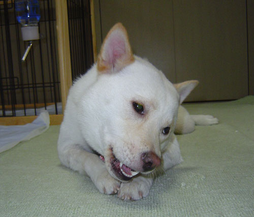 DSC00020.jpg