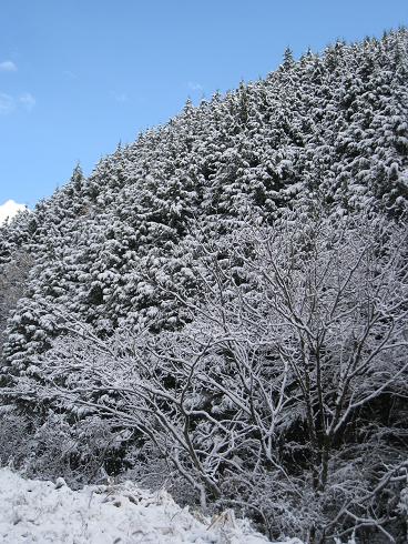 飛騨高山スキー場方面　初雪