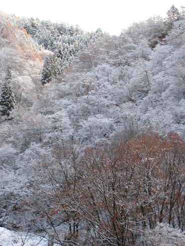 飛騨高山スキー場方面　初雪　