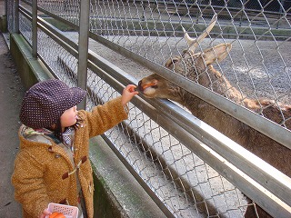 DSC02245.jpg