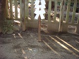 DSC02249.jpg