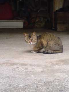 PA0_0038.jpg