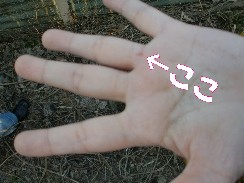 手を突く10.2.23b