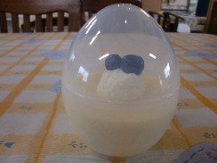 だちょたまプリン10.5.1