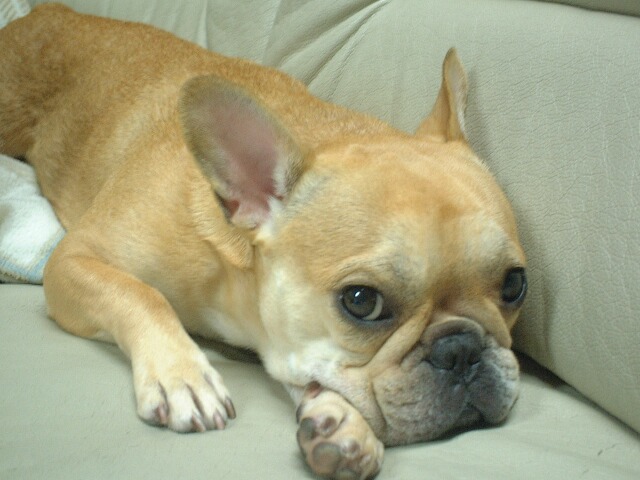 DSCF0576.JPG