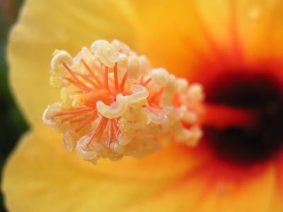 レゲエブリーズ4