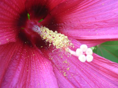 モイグランデ４