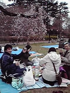 22 4 16 ohanami 2.jpg