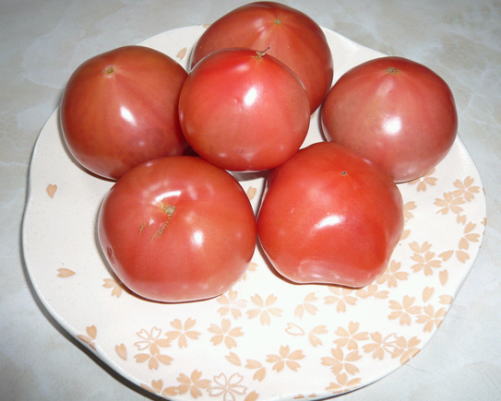 22 4 20 tomato.jpg