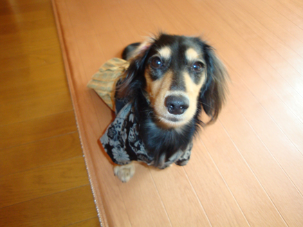 DSC08664.JPG