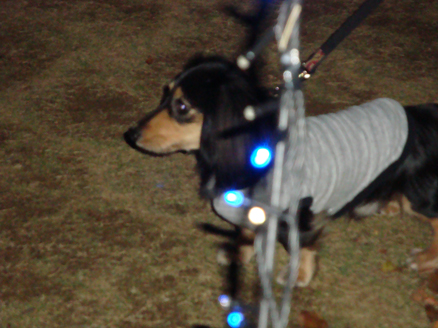 DSC08614.JPG