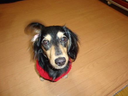 DSC08722.jpg