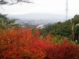 芋煮会3