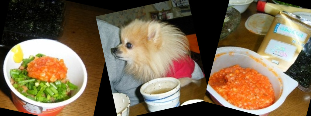 Picnik コラージュ.jpg