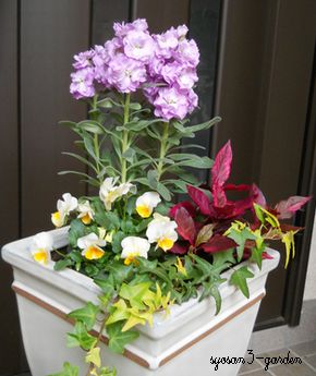 寄せ植えｽﾄｯｸ､ﾚｯﾄﾞﾌﾗｯｼｭ.jpg