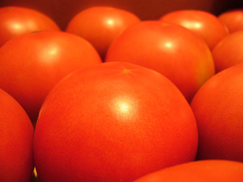 pomodori.jpg