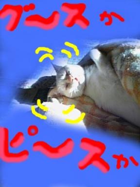 快眠妨害ー2