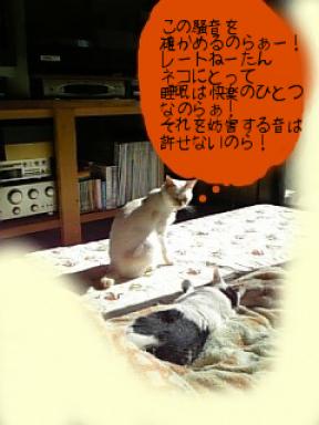 快眠妨害ー7