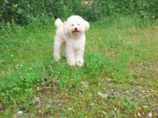 2011062711170000.jpg