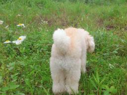 2011062711220000.jpg