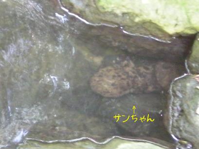 DSCN1554.JPG