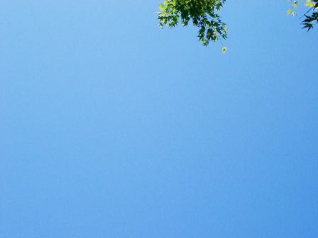 空2.jpg