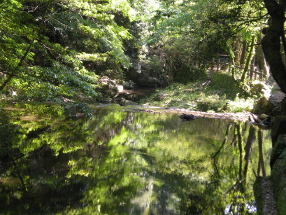 DSCN1573.JPG