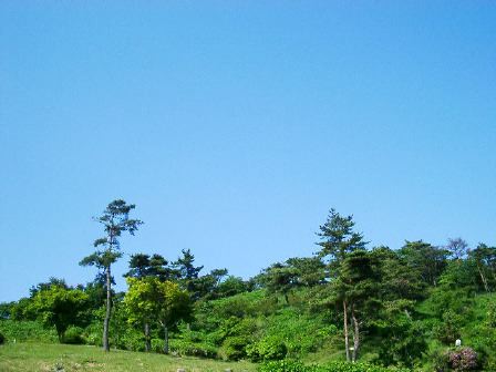 大野山1.jpg