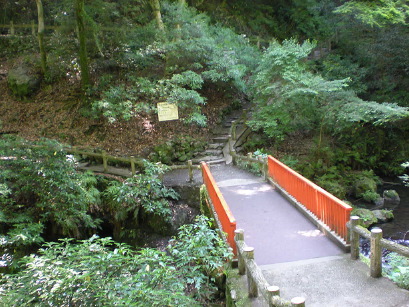 DSCN1569.JPG