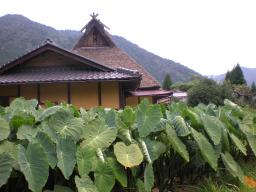 DSCN2186.JPG