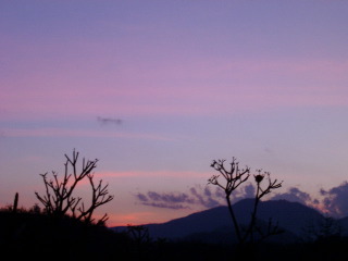 夕焼け2.JPG