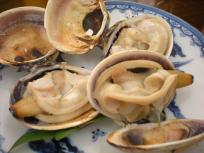 DSCN4497.JPG