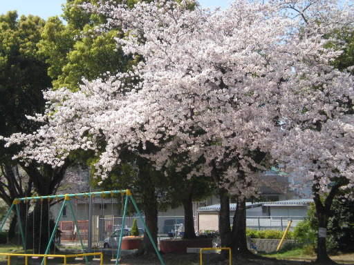 DSCN1197.JPG