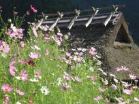 DSCN4850.JPG