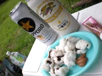 DSCN1828.JPG