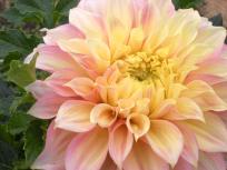 DSCN4839.JPG