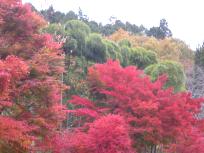 DSCN2684.JPG